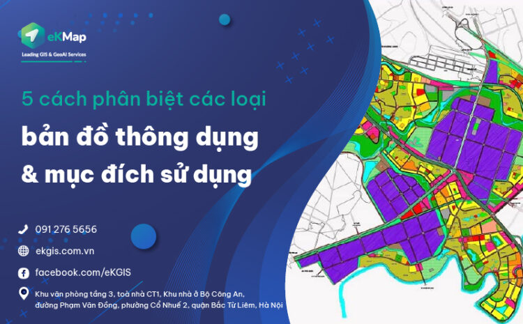  5 cách phân biệt các loại bản đồ thông dụng và mục đích sử dụng
