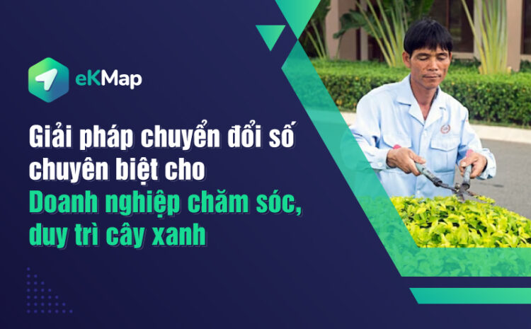  Giải pháp chuyển đổi số chuyên biệt cho doanh nghiệp chăm sóc, duy trì cây xanh đô thị