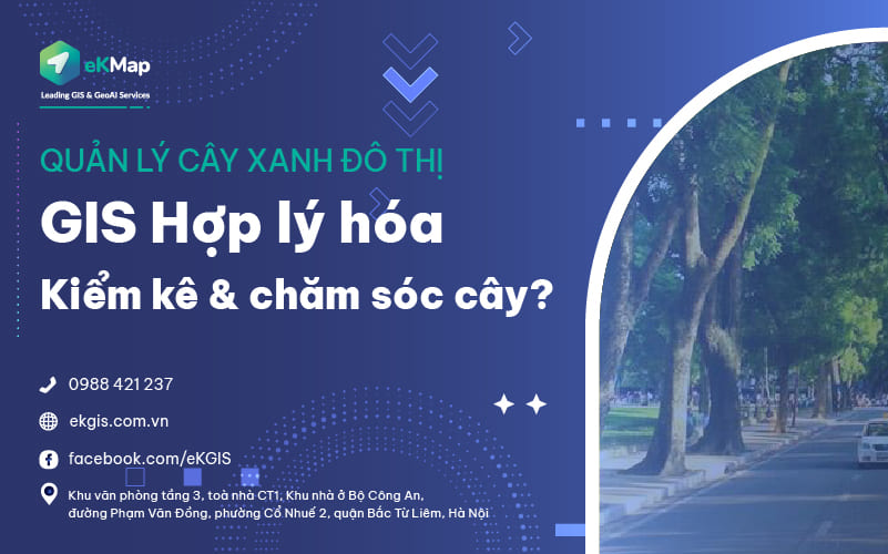 Quản lý cây xanh đô thị - GIS Hợp lý hóa Kiểm kê và chăm sóc cây như thế nào