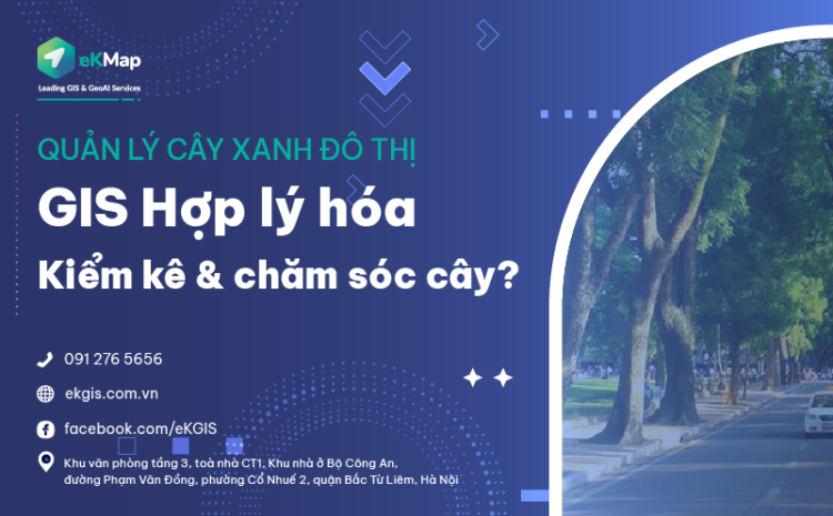  Quản lý cây xanh đô thị – GIS Hợp lý hóa Kiểm kê và chăm sóc cây như thế nào