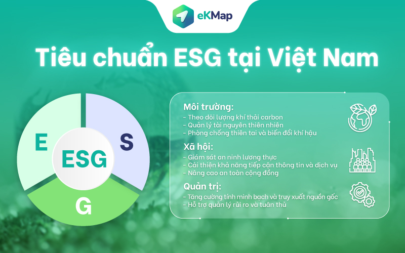 Tiêu chuẩn ESG tại Việt Nam